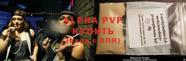 индика Беслан