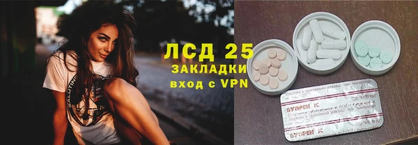 эйфоретик Бикин