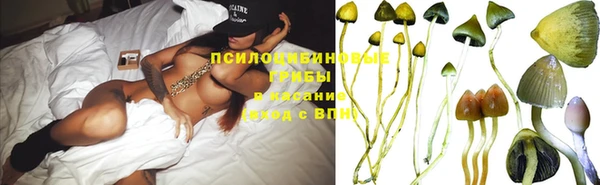 эйфоретик Бикин