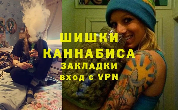 эйфоретик Бикин