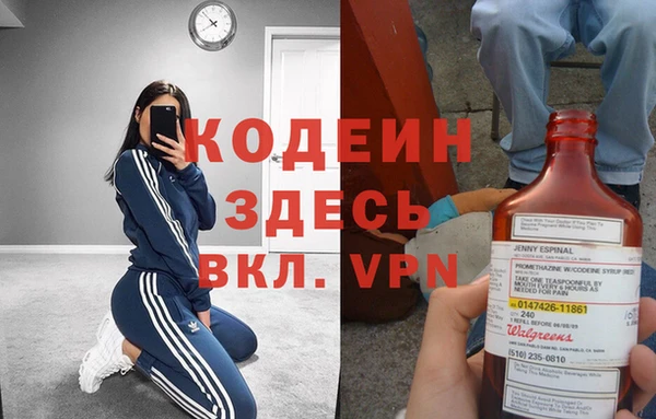индика Беслан