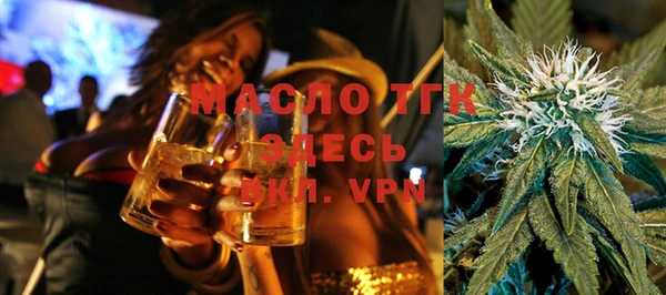 индика Беслан
